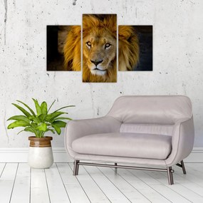 Tablou - Portret de leu (90x60 cm)