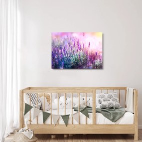 Tablou pe sticlă - Lavandă în strălucirea soarelui (70x50 cm)