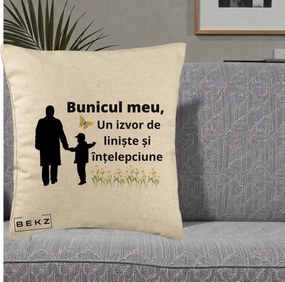 Cadou pentru Bunic - Perna Personalizata Bunicul Meu Izvor de Liniste cu Fluture si Baietel, 40x40 cm, Bej, Husa Detasabila, Perna Inclusa, BEKZ®