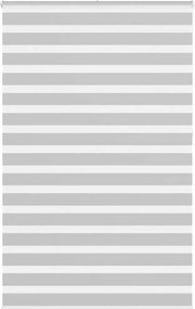 vidaXL Jaluzea tip zebra gri deschis lățime țesătură 135,9cm poliester