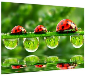 Tablou - Soarele celor șapte sori (70x50 cm)