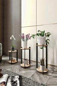 Ghiveci Florissimo (stejar).. Promo -6%. 1127785