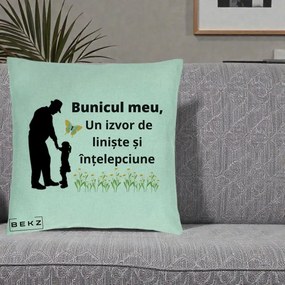 Cadou pentru Bunic - Perna Personalizata Bunicul Meu Izvor de Liniste cu Fluture si Fetita, 40x40 cm, Verde Menta, Husa Detasabila, Perna Inclusa, BEKZ®