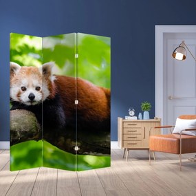 Paravan - Panda roșie (126x170 cm)