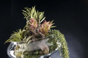 Aranjament floral elegant ETERNITY BOWL EXOTIC ZEUS 1141789.60