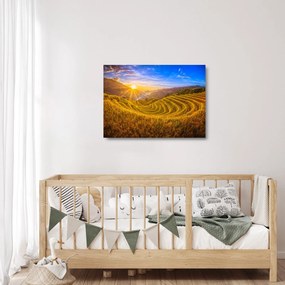 Tablou pe sticlă - Terasele de orez din Vietnam (70x50 cm)