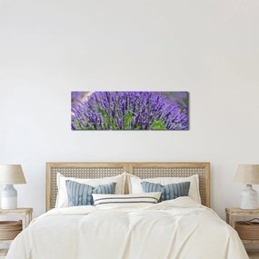 Tablou - lavanda (cu ceas) (90x30 cm)