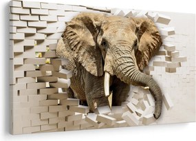 Tablou - Elefant spârgând peretele (90x60 cm)