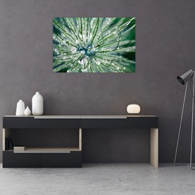 Tablou - Imagine macro a unei flori (90x60 cm)