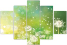 Tablou - Păpădie înflorită (150x105 cm)