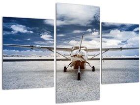 Tablou cu aeroplan cu motor (90x60 cm)