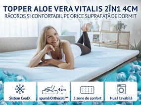 Topper Aloe Vera 2în1 4cm