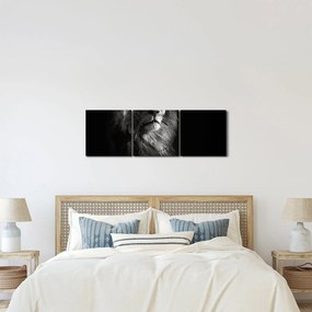 Tablou - Leu (cu ceas) (90x30 cm)