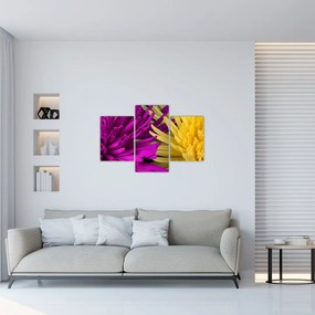 Tablou - detailu cu flori (90x60 cm)