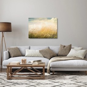 Tablou pe sticlă - Câmp toamna (70x50 cm)