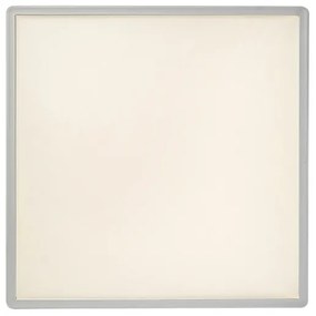 Rabalux 3430 - Plafonieră LED reglabilă PAVEL LED/22W/230V