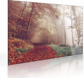 Tablou pe sticlă - Plimbarea de toamnă prin pădure (70x50 cm)
