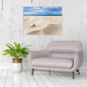 Tablou - Scoici pe plajă (70x50 cm)