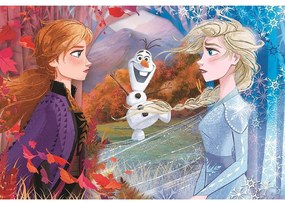 Disney Regatul de gheață Contrasts Puzzle maxi Clementoni de 60 de piese