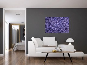 Tablou cu copacii înzăpeziți (90x60 cm)