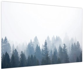 Tablou - Pădure cețoasă (90x60 cm)