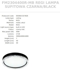 Plafoniera, Lustra aplicata LED moderna REGI 40cm