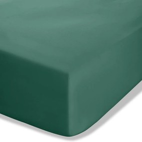 Cearceaf verde închis din bumbac percale cu elastic 150x200 cm Easy Iron Percale – Catherine Lansfield