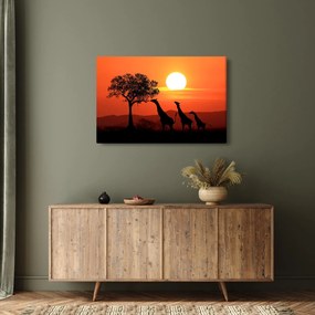Tablou cu girafe în apus de soare (90x60 cm)