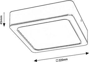 Plafonieră LED SHAUN LED/24W/230V 22 cm Rabalux 2691