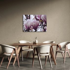 Tablou - Magnolie (70x50 cm)