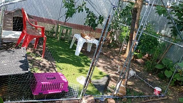 Am muncit destul de mult, acum e aproape gata. A durat mult pt că acel spatiu era ocupat de niște plante pe care a trebuit să le mut. Am făcut și greșeli, am montat unele piese invers, apoi a trebuit să demontez și să le pun corect. De exp. am pus invers E-urile, aici a fost doar vina mea, dacă mă uitam mai cu atenție la indicații vedeam, dar la prima vedere mi s-au părut identice.