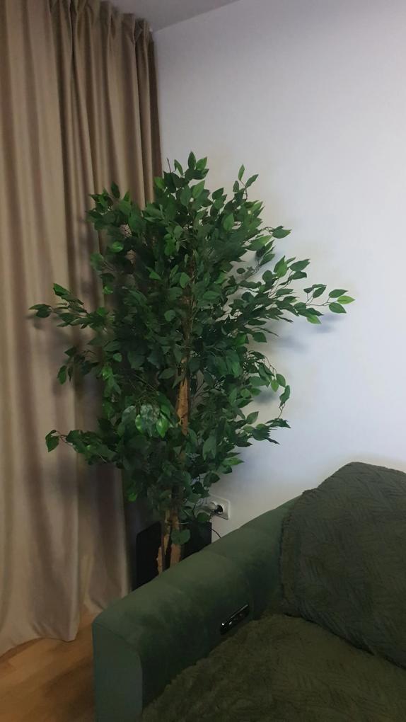 Fotografia utilizatorului