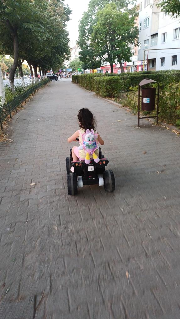 Fiica mea la iubit din prima clipa.usor de asamblat.nu este foarte greu il urc si cobor in fiecare zi de la etajul 2