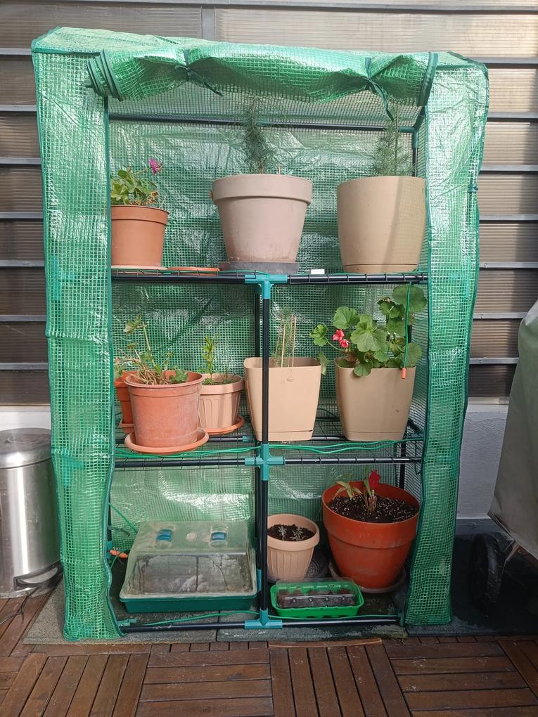 Fotografia utilizatorului