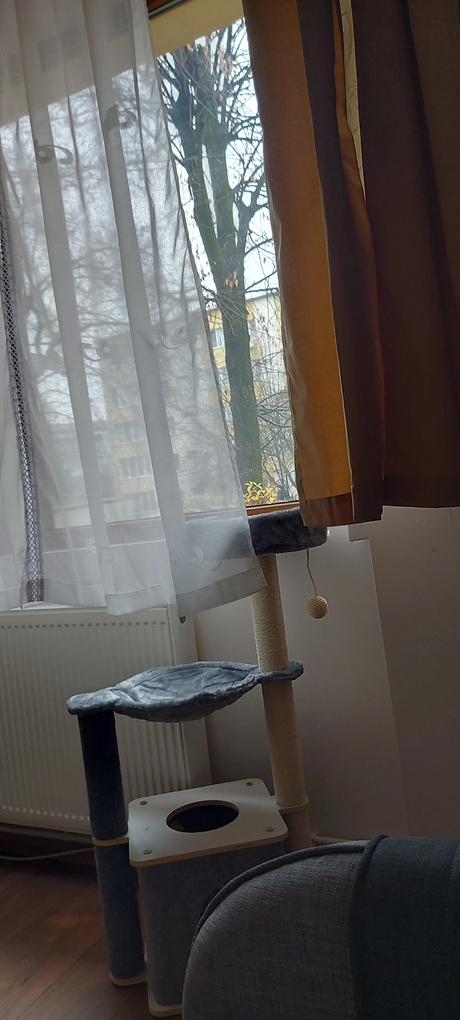 Sa l imbunatatesc, am sa pun o piatra grea in cutue si eventual o perinita ca sa I dau stabilitate ....am comandat acest obiect orientandu ma dupa dimensiuni,  sa se potriveasca langa fereastra .....acum realizez ca erau importanti si alti factori ...De ex . Ca am o pisica adulta , .......data viitoare o sa fie mai bine ...