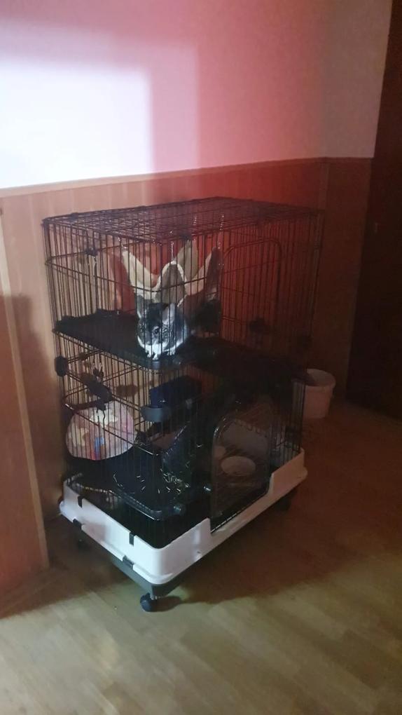 Singurul inconvient este ca nu are suport unde se poate adăuga fanul pentru animale. 