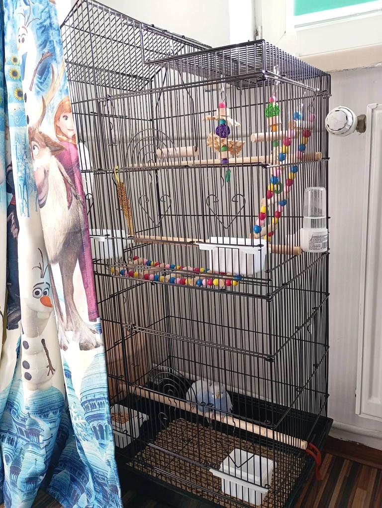 Fotografia utilizatorului