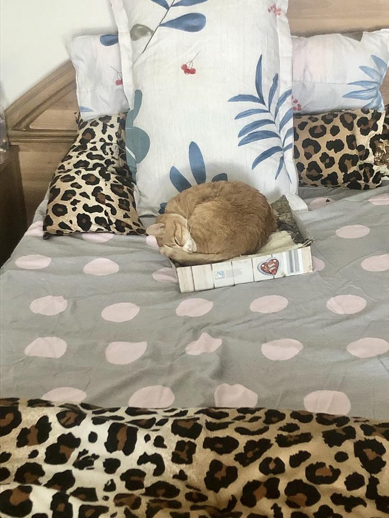 Un model atât de frumos , mi s-a părut că merge perfect împreună cu celălalt set cu imprimeu leopard. 