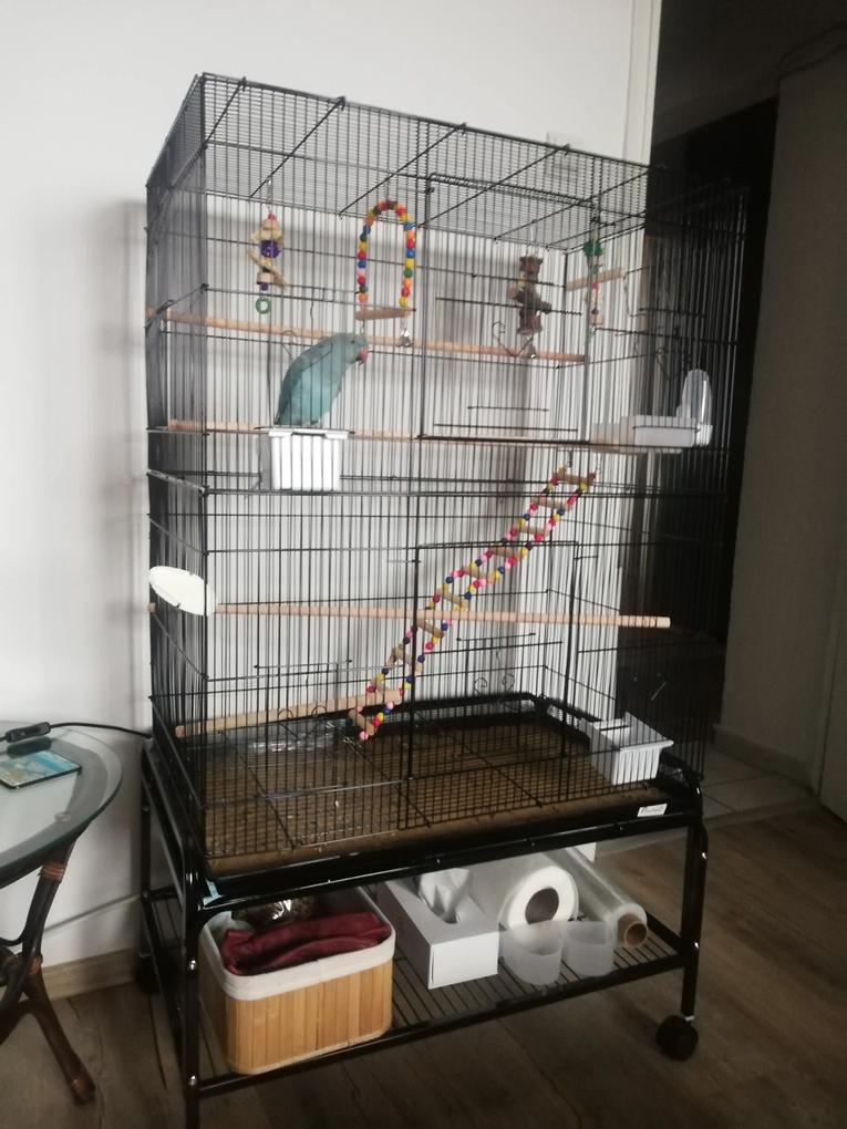 Fotografia utilizatorului